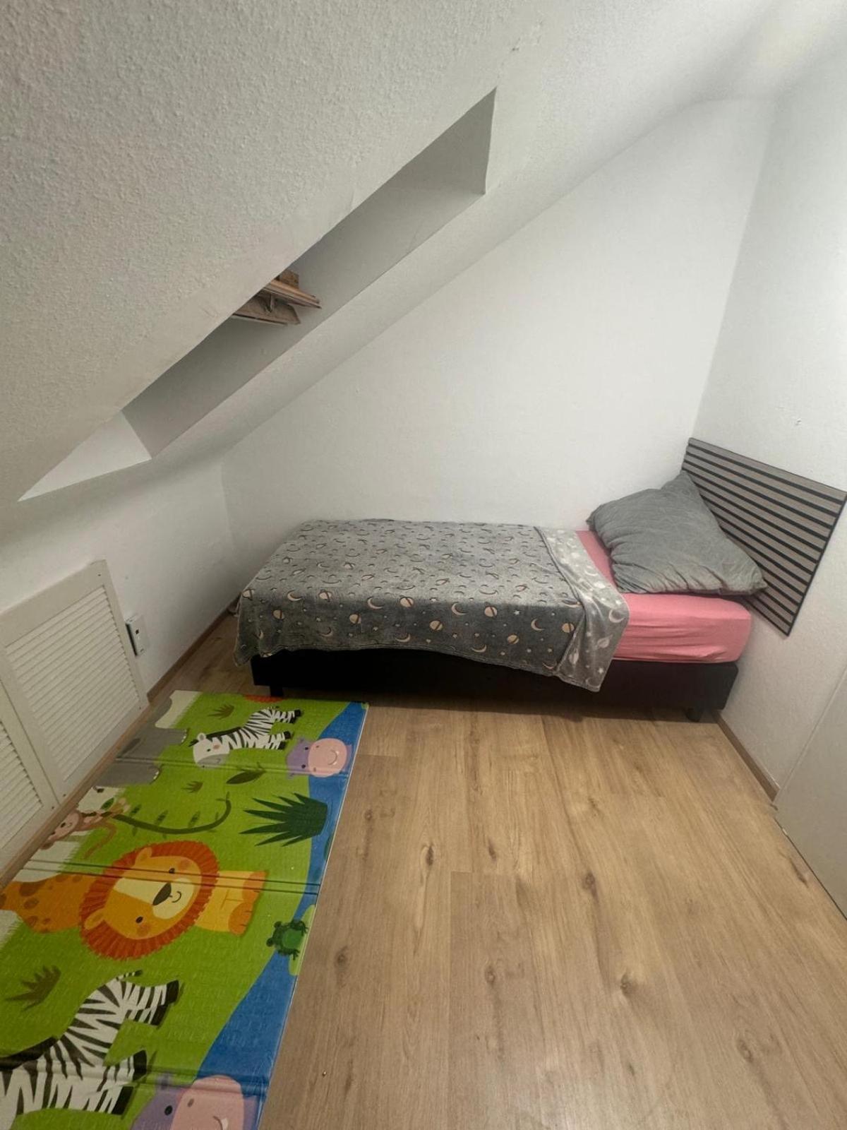 Am Auepark Apartment Kassel Exterior photo